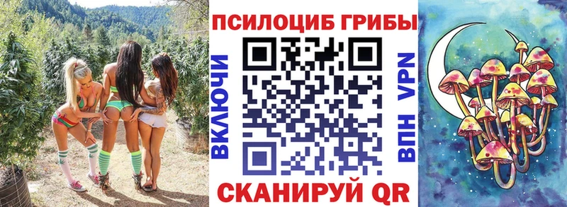 закладки  Ивдель  shop Telegram  Галлюциногенные грибы GOLDEN TEACHER 