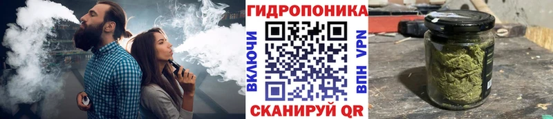 Каннабис индика Ивдель